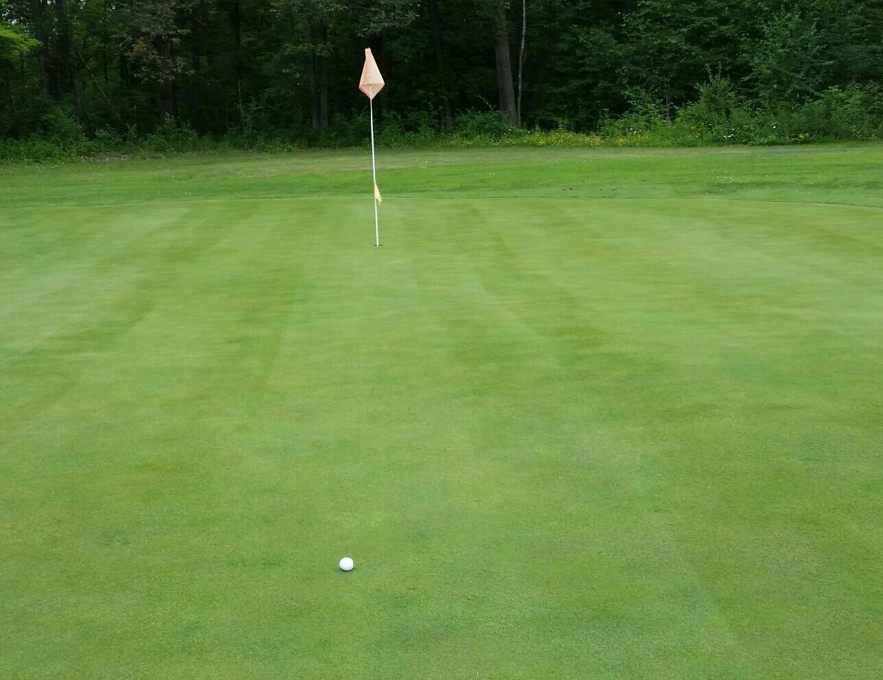 View of flag on golf course